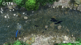 Fishing (Clubhouse Games: 51 Worldwide Classics)
